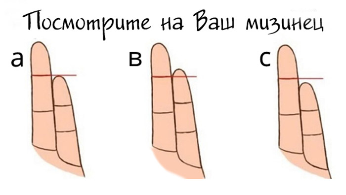 А вы знали,что длина пальцев может влиять на ваш характер?