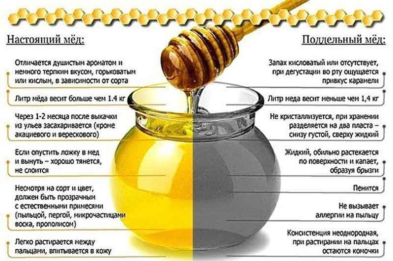 Как отличить настоящий мёд от подделки? 11 способов проверки