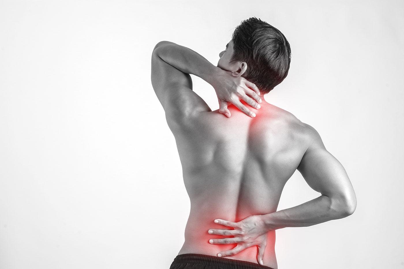 Как укрепить мышцы спины