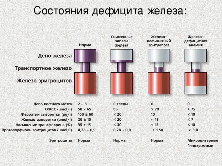 sostojanija-defitsita-zheleza