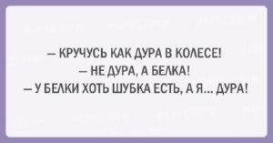 Подборка шуток об очаровательной женской логике