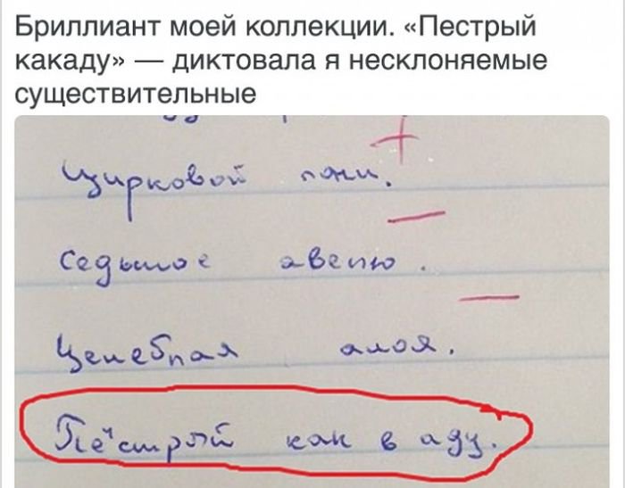 Садись, пять: смешные ответы школьников, до которых взрослые бы не додумались