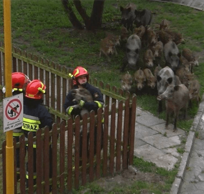 Самые впечатляющие фото о человеческой доброте