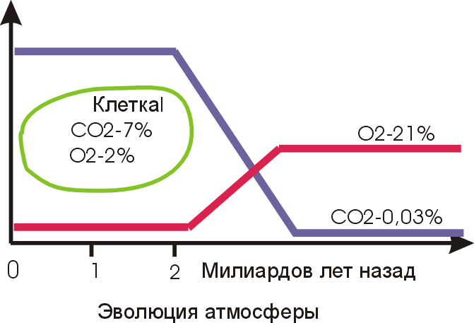 Оздоровительная техника дыхания по методу Бутейко