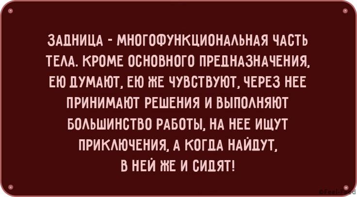 Смешные картинки, которые обязательно оценят остроумные женщины. Проверим?