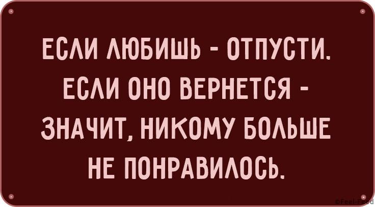 Смешные картинки, которые обязательно оценят остроумные женщины. Проверим?