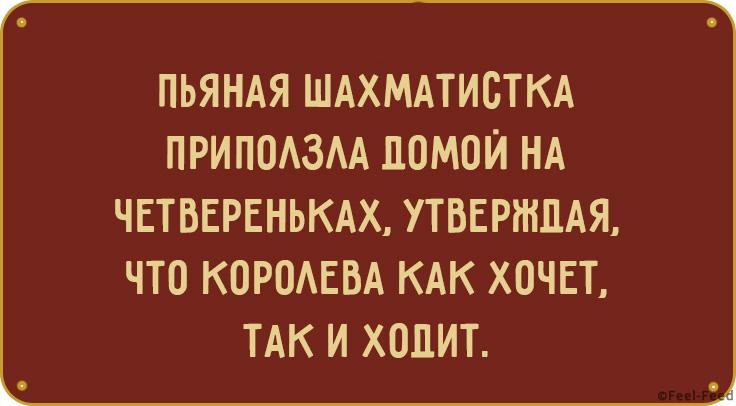 Смешные картинки, которые обязательно оценят остроумные женщины. Проверим?