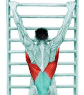 10 упражнений на растяжку: как тянутся мышцы спины и живота на самом деле. Изображение номер 2