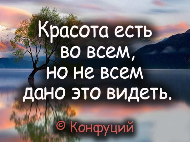 10 мудрых высказываний о жизни, которые понимаешь только с годами