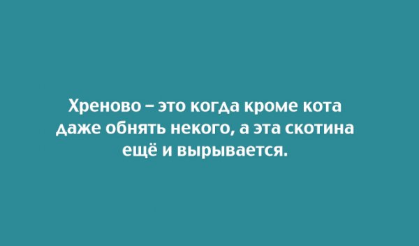 13 открыток с неожиданным финалом