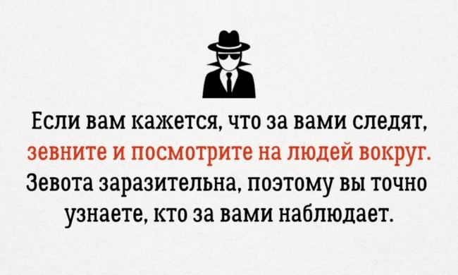 13 психологических хитростей, которые сделают Вашу жизнь проще