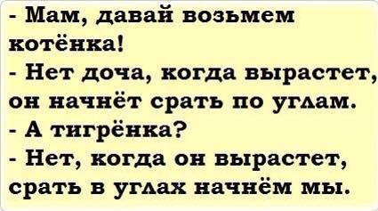 14 самых интересных невыдуманных коротких историй, анекдотов и фраз, которые обязательно поднимут вам настроение