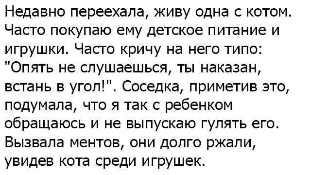 14 самых интересных невыдуманных коротких историй, анекдотов и фраз, которые обязательно поднимут вам настроение