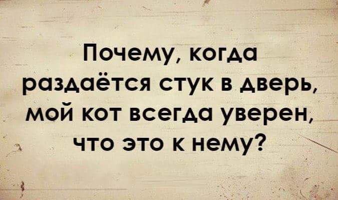 14 самых интересных невыдуманных коротких историй, анекдотов и фраз, которые обязательно поднимут вам настроение