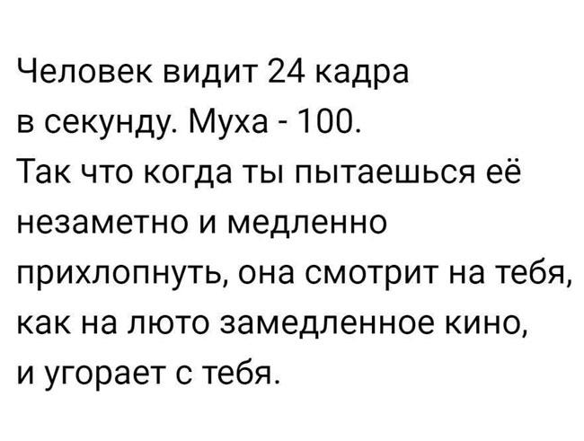 15 самых интересных коротких жизненных историй для отличного настроения!